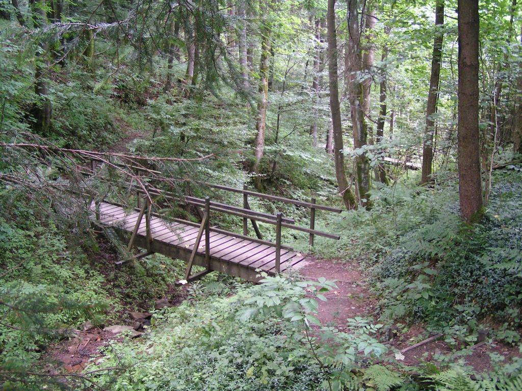 Bed And Breakfast Isidorus Winterberg Extérieur photo